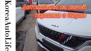 325 Автомобили на нашей стоянке в Корее