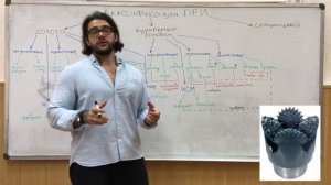 Епихин АВ. Буровой Ликбез. Классификация породоразрушающего инструмента. 2020