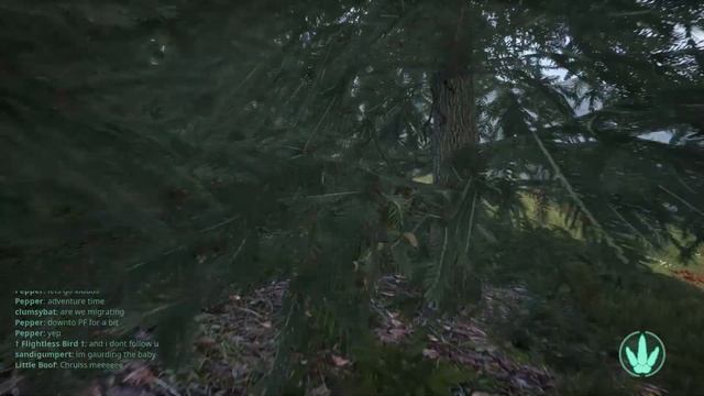 The Isle Gameplay 1 - The Disoriented Dryo смотреть онлайн