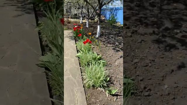 27 мая 2022 г. смотреть онлайн