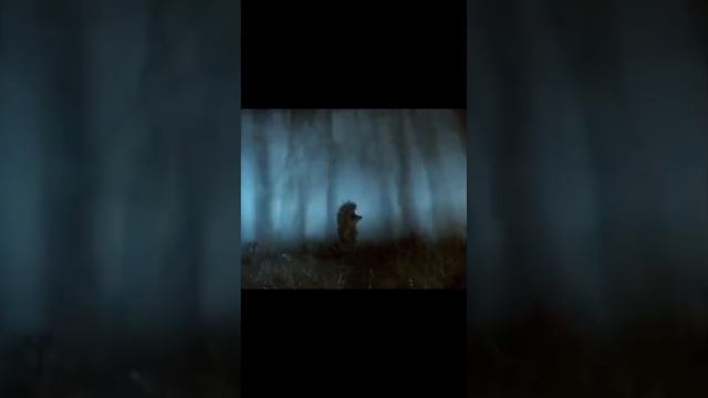 Как ежик в тумане нашел ПЕРСОНАЛЬНУЮ СТРАТЕГИЮ РЕКРУТИНГА смотреть онлайн