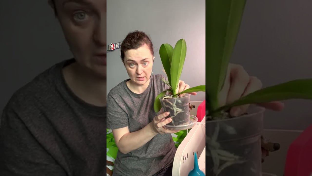 Что происходит на карантине?
