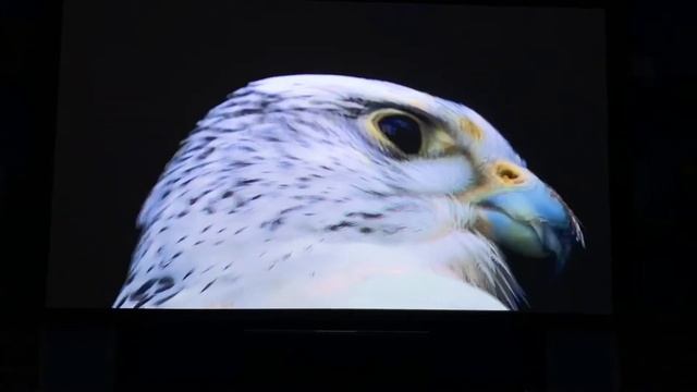 Проектор Benq w2700Ht3550