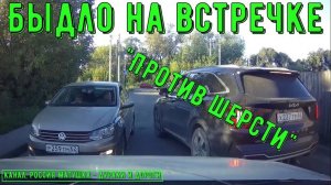 Быдло на встречке #173! Подборка на видеорегистратор!