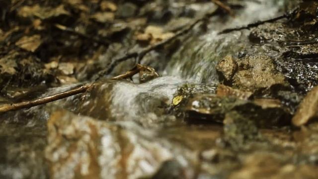 Береснятский водопад (Вятская Швейцария) смотреть онлайн
