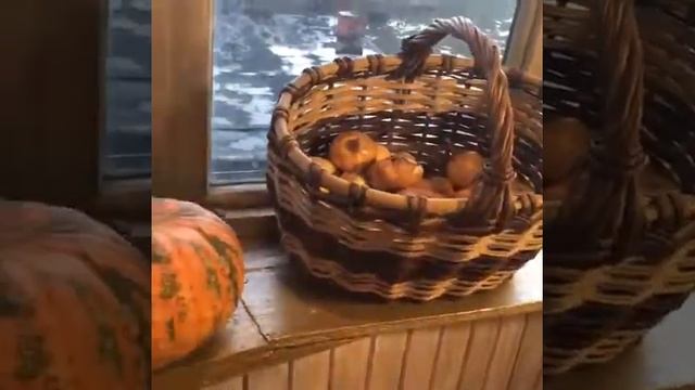 Видео 1. Вводный видеоролик о тематике канала. Опыт подмосковного огородника. смотреть онлайн