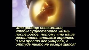 Есть ли жизнь после смерти? (лучшая видео притча онлайн)
