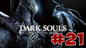 Dark Souls Прохождение, Знания и Секреты - #21 Полость