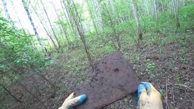 “Путешествие” В ЛЕС НА ПЯТЬ ДНЕЙ! НАИКРАСИВЕЙШИЕ МЕСТА! ПОИСК С МЕТАЛЛОИСКАТЕЛЕМ! смотреть онлайн