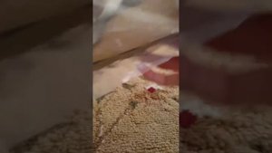 Новые лошади Schleich/Распаковка подарков на День рождения