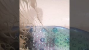 День Красоты. Мальтийская болонка, уход.