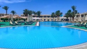 Reef Oasis Beach 5*-Стоит ли ехать? Обзор номера отеля и территории- Отель в Египте Шарм Эль шейх