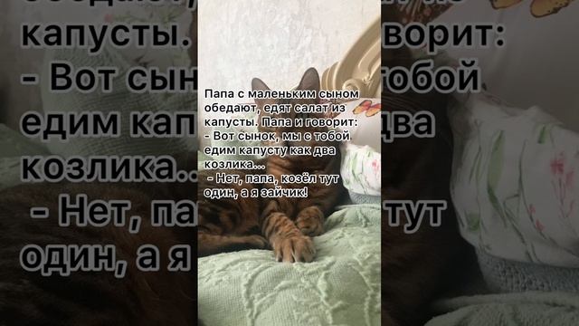 Папа и сын обедают…? анекдот от кожаного.