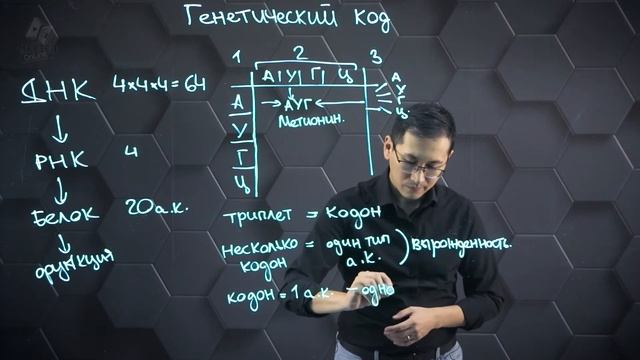 Свойства генетического кода. 11 класс. смотреть онлайн