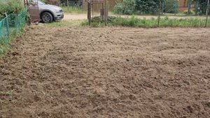 Подготовка участка к пасеву газона.Мотоблок мтз вейма 13 сил.