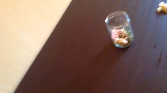 RaKuShKi:D смотреть онлайн