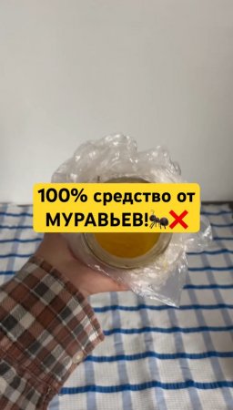 Бабушка рассказала ПРОСТОЕ средство от муравьев