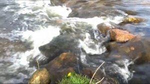Расслабляющий шум реки для сна / Шум потока воды / Белый шум
