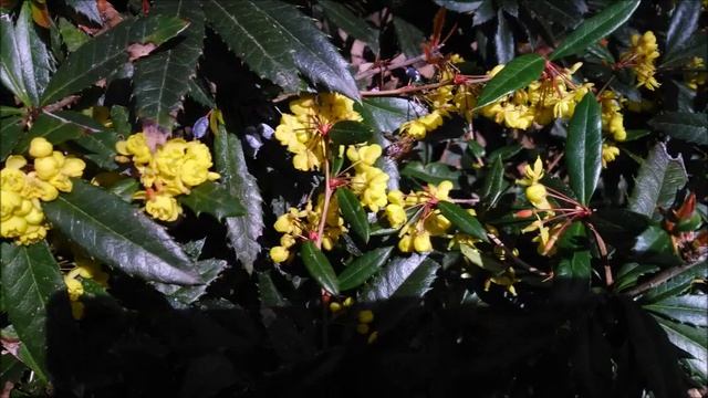 ПУТЕШЕСТВИЕ ИЗ ГУРЗУФА В ЯЛТУ, И ОБРАТНО смотреть онлайн