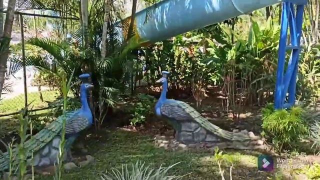 перелет из России в Коста Рику. 2021.Термальные источники, и о себе смотреть онлайн