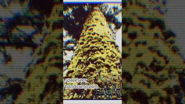 🌲 Towers of the Moss 🌲has arrived! #dungeonsynth #darkambient #ambientsynth #electronica #synth