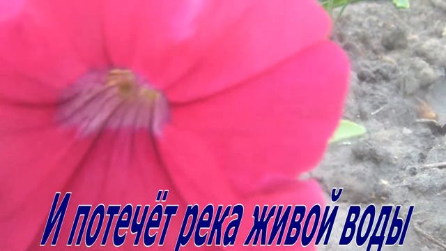 счастье поёт Соколов