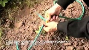 Росинка - Система капельного полива в теплицы своими руками