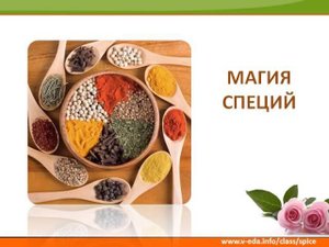 Магия специй (урок с Еленой Левицкой)