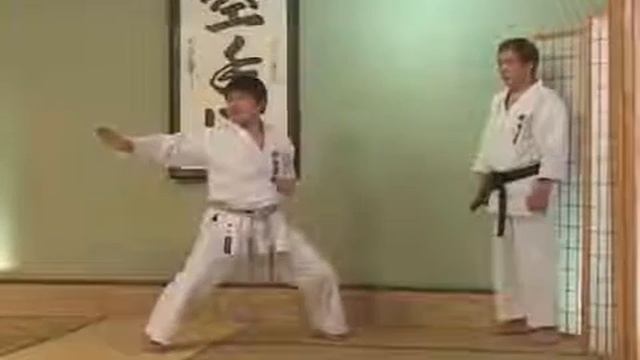 Tekki Sandan - Hirokazu Kanazawa _ Shotokan Karate смотреть онлайн