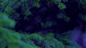 Ошо ПРИНИМАЯ СЕБЯ ТЫ ПРИНИМАЕШЬ СУЩЕСТВОВАНИЕ #Просветление#Пробуждение