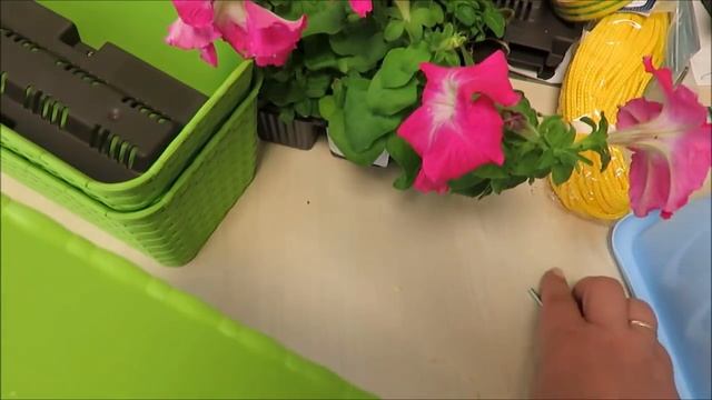 ИДЕЯ? ?Лайфхак ?цветы НА КАРНИЗЕ за окном ЛЕГКО и Просто ? канал В стране чудес ?? смотреть онлайн