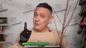 Агрономы знают: так выглядит саженец, который приживется