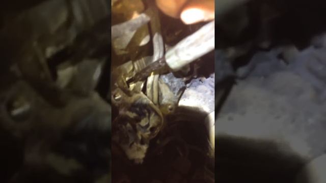 broken glow plugs removal ford transit mk6