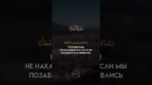 Арби Аш-Шишани последние аяты суры Аль-Бакара