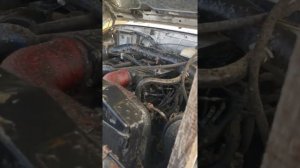 газ 3309 евро 4 в разбор, работа двигателя