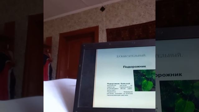 методы исследования в биологии. смотреть онлайн