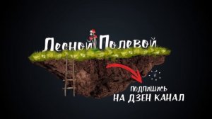 Лесной Полевой