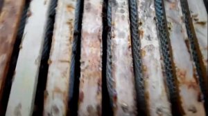 Улей МФУ. Добавляем сушь для сбора акациевого мёда.