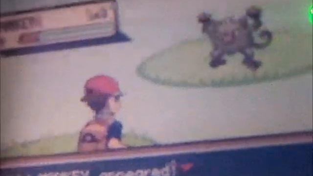 LIVE REACTION my 50th shiny! смотреть онлайн