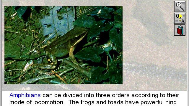 Biology: Vertebrates: Introduction to the Amphibians