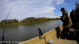 Бакланье осень 2019