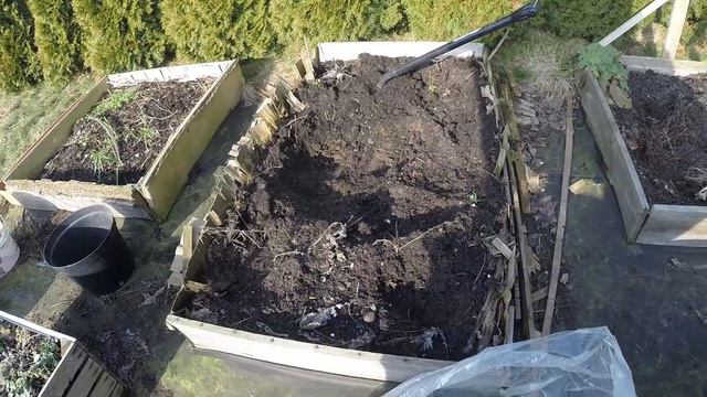 Jak przesadzam czosnek. Nareszcie zaczynamy porządki : 