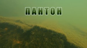 НАШЁЛ СТАРЫЙ ПАНТОН ПОД ВОДОЙ щука на опарыша РЕАЛЬНО