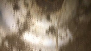 УКУСИЛ ЁЖ - ЧТО ДЕЛАТЬ? И кто ещё ЖИВЁТ в ДОМЕ / Влог