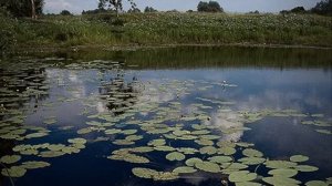 А  Лядов Волшебное озеро  Проект Татьяны Большаковой