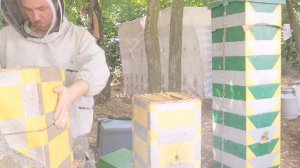 Отбор медовых рамок с альпийского улья Роже Делона