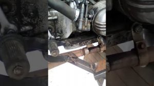 каракат из урала