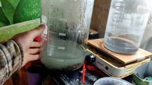 K-155 с видимой позолотой vs Серная кислота. Микросхемы К-155 и подобные. Содержание драгметаллов.