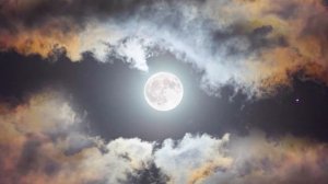 Совместимость мужчины Стрельца и женщины Весы