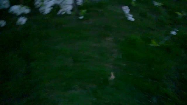 Посадка майского жука смотреть онлайн